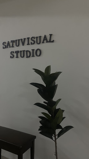 SATUVISUAL STUDIO