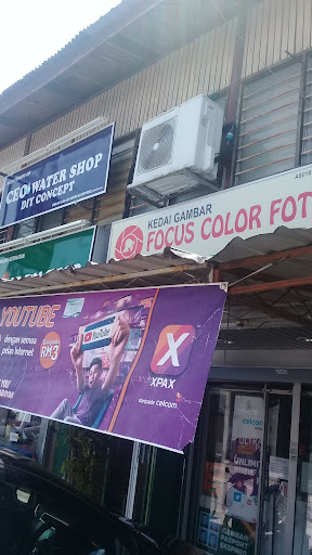 Focus Color Foto