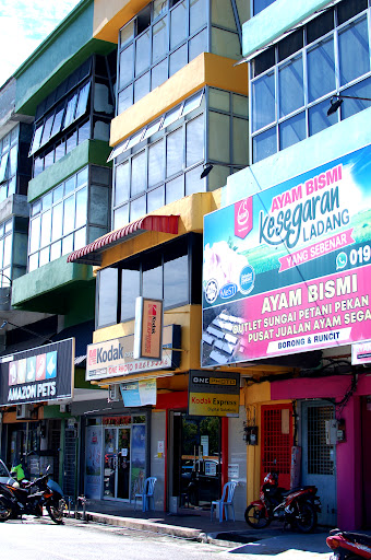 One Photo | Kedai Gambar | Passport | PDF | Studio Photo